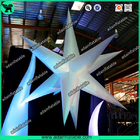 Concert Hanging Decoration, Concert Lighting Decoration, Inflatable Star Model